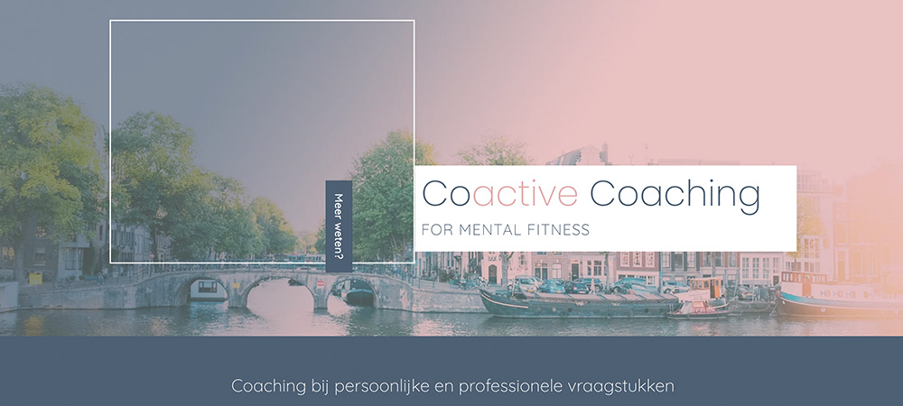 Website_Coactive coaching